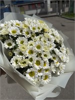 Букет кремовые сантини 4191